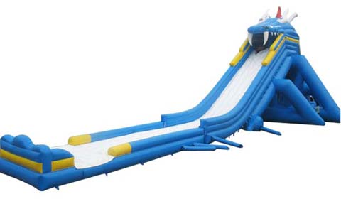 bouncy castle with slide for sale