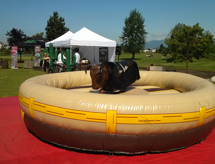 carnival funfair mechanical bull